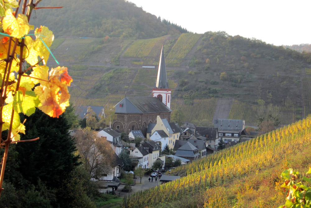 Bruttig-Fankel, Mosel