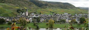 Blick auf Bruttig-Fankel über die Mosel
